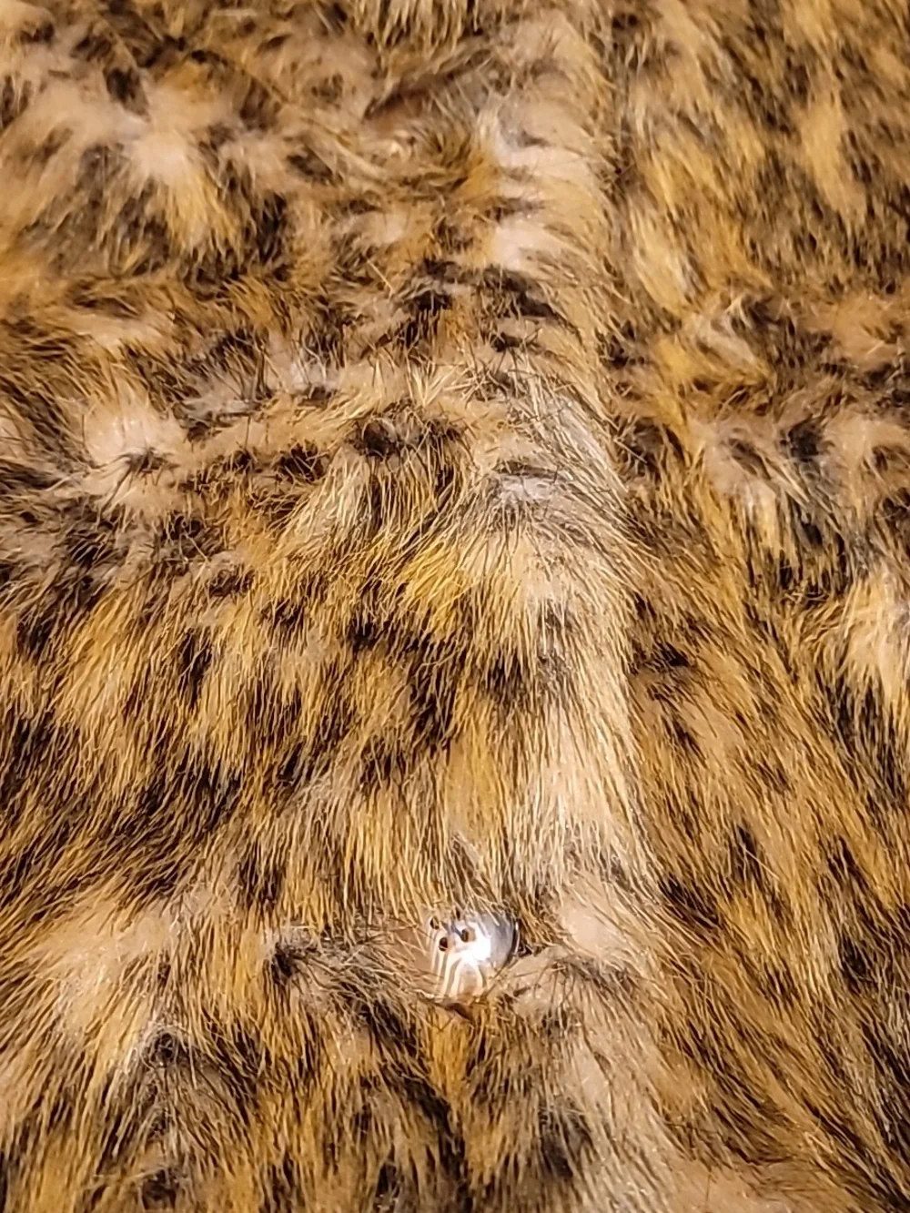 BHS Women's Faux Fur Teddy Coat - Brown Leopard Print Large